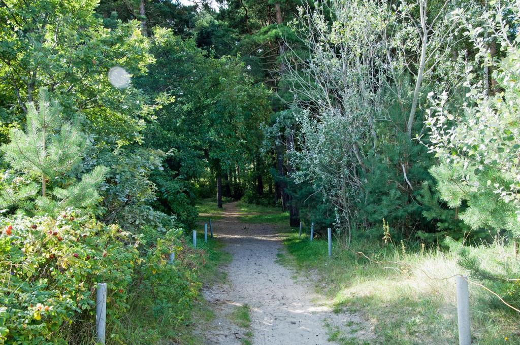 Ferienhaus Emmely Nur Wenige Gehminuten Zum Strand Ruhig Glowe Esterno foto